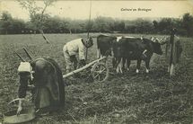 techniques de labour Dpclh3_AA00000451