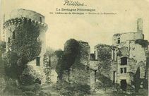 Ruines de la Hunaudaye