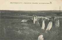 Alignements des ''Demoiselles'' sur le lande de Cojoux