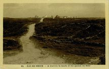 A travers la lande et les ajoncs en fleur