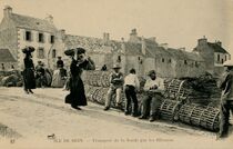 Cartolis Ile-de-Sein (Finistère) - Transport de la Soude par les Illiennes.