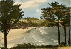 Cartolis Douarnenez (Finistère) - LE RIS