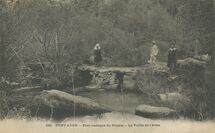 Cartolis Pont-Aven (Finistère) - Pont rustique du Plessis