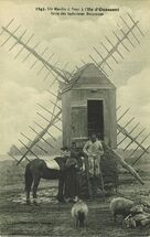 Cartolis Ouessant (Finistère) - Un Moulin à Vent à l'Ile d'Ouessant