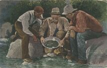 Cartolis  - Panning gold