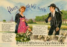 Cartolis  - Fleur de blé noir