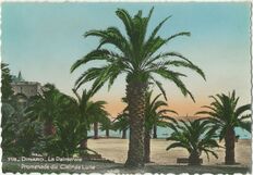 Cartolis Dinard (Ille-et-Vilaine) - La Palmeraie