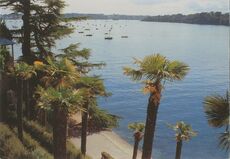 Cartolis Dinard (Ille-et-Vilaine) - La Belle The Beautiful