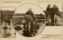Cartolis  - Les Glaneuses de la Mer