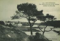 Cartolis Douarnenez (Finistère) - Vue générale sur l'Ile Tristan