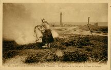 Cartolis Penmarc'h (Finistère) - SAINT-GUENOLE-PENMARC'H