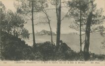 Cartolis Carantec (Finistère) - Le Bois de Sapins, vue de la Baie de Morlaix.