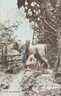Cartolis  - Coin de ferme
