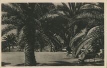 Cartolis Dinard (Ille-et-Vilaine) - La Palmeraie