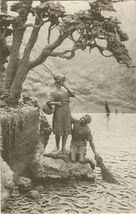 Cartolis  - Pêche interrompue