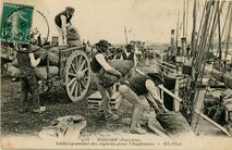 Cartolis Roscoff (Finistère) - Embarquement des oignons pour l'Angleterre