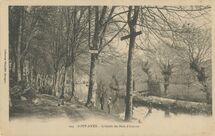 Cartolis Pont-Aven (Finistère) - L'entrée du Bois d'Amour