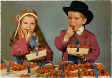 Cartolis Plougastel-Daoulas (Finistère) - Petits enfants en costumes de PLOUGASTEL-DAOULAS.