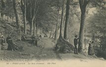 Cartolis Pont-Aven (Finistère) - Le Bois d'Amour