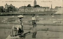 Cartolis Noirmoutier-en-l'Ile (Vendée) - LES MARAIS SALANTS