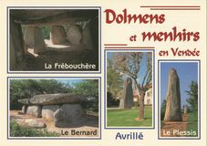 Cartolis Aucune (Vendée) - Menhirs et dolmens faisant partie d'un ensemble im ...