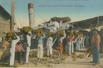 Cartolis Port Antonio (Portland) - Greetings from Jamaica. Loading Banan, Port Antoni ...