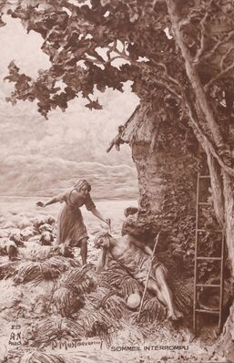 Cartolis  - Sommeil interrompu