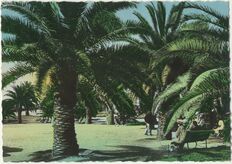 Cartolis Dinard (Ille-et-Vilaine) - La Palmeraie