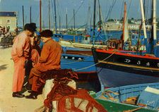 Cartolis Douarnenez (Finistère) - TREBOUL