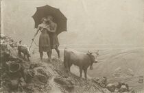 Cartolis  - Baiser matinal