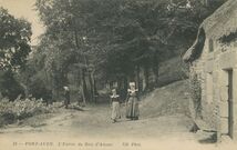 Cartolis Pont-Aven (Finistère) - L'Entrée du Bois d'Amour