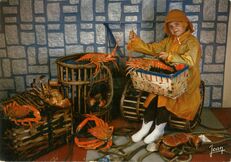 Cartolis  - Fruits de mer (araignées, tourteaux, langoustines ...