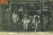 Cartolis  - Intérieur de Ferme : en avant, l'Etable ; au fond ...