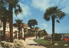 Cartolis Dinard (Ille-et-Vilaine) - Les jardins du Clair de Lune
