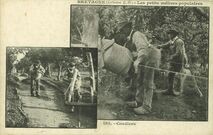 Cartolis  - Cordiers