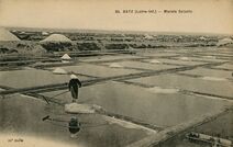 Cartolis Batz-sur-Mer (Loire Atlantique) - Marais Salants