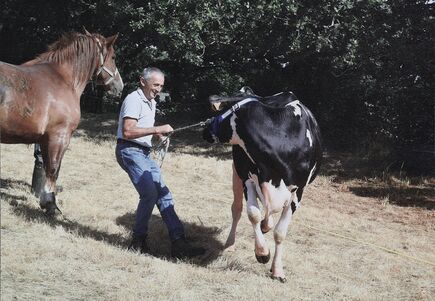 Cartolis Sainte-Hélène (Morbihan) - Comice agricole du canton de Pluvigner.