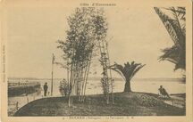 Cartolis Dinard (Ille-et-Vilaine) - La Palmerais