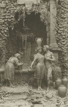 Cartolis  - Si vieillesse pouvait !