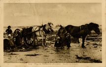 Cartolis Landunvez (Finistère) - Plage de TREMAZAN