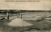 Cartolis Batz-sur-Mer (Loire Atlantique) - Dans les Marais salants