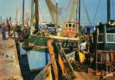 Cartolis Guilvinec (Finistère) - Retour de pêche
