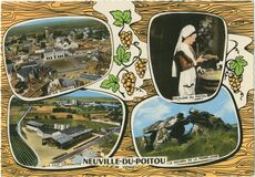 Cartolis Neuville-de-Poitou (Vienne) - Vue générale