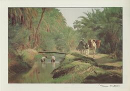 Cartolis  - In the Nile valley