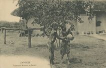 Cartolis  - ZAMBEZE