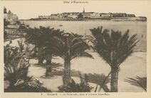 Cartolis Dinard (Ille-et-Vilaine) - La Palmeraie, dans le lointain Saint-Malo