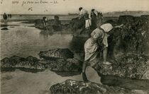 Cartolis  - La Pêche aux Crabes