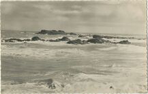 Cartolis Dinard (Ille-et-Vilaine) - La Mer Sauvage