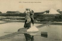 Cartolis Batz-sur-Mer (Loire Atlantique) - Transport du Sel pour la mise en Mulon