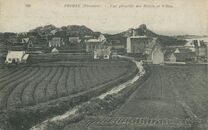 Cartolis Plougasnou (Finistère) - PRIMEL (Finistère)